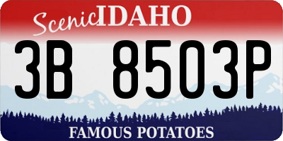 ID license plate 3B8503P