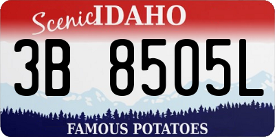 ID license plate 3B8505L