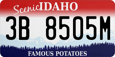 ID license plate 3B8505M