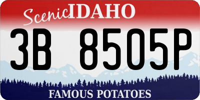 ID license plate 3B8505P
