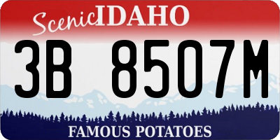ID license plate 3B8507M