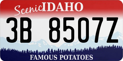 ID license plate 3B8507Z