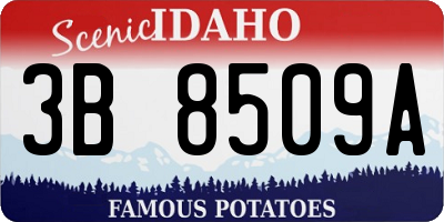 ID license plate 3B8509A