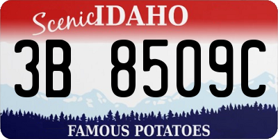 ID license plate 3B8509C