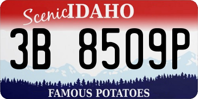 ID license plate 3B8509P