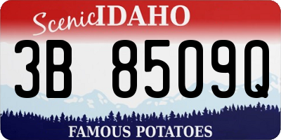 ID license plate 3B8509Q