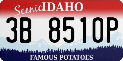 ID license plate 3B8510P