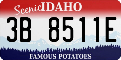 ID license plate 3B8511E