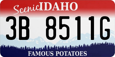 ID license plate 3B8511G