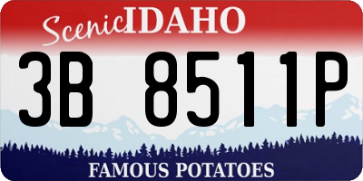 ID license plate 3B8511P