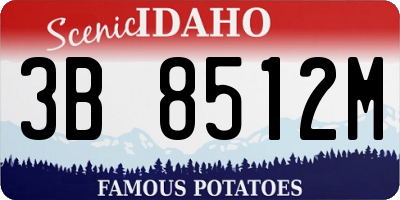 ID license plate 3B8512M
