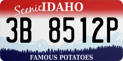 ID license plate 3B8512P