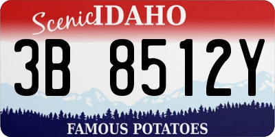 ID license plate 3B8512Y