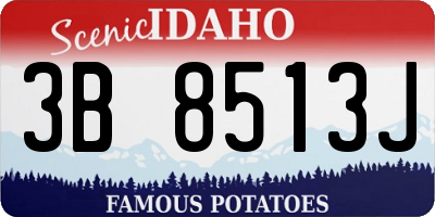 ID license plate 3B8513J