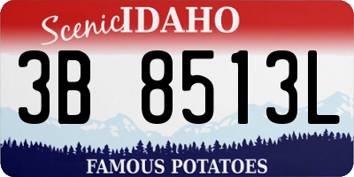 ID license plate 3B8513L