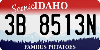 ID license plate 3B8513N