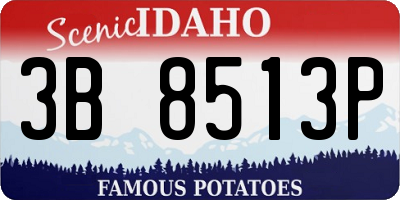 ID license plate 3B8513P
