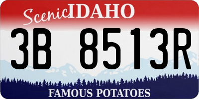 ID license plate 3B8513R