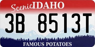 ID license plate 3B8513T
