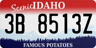 ID license plate 3B8513Z