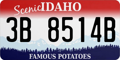 ID license plate 3B8514B
