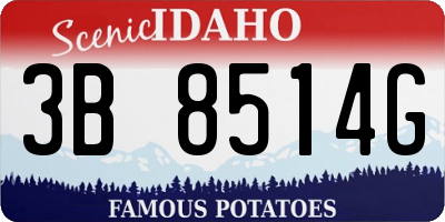 ID license plate 3B8514G