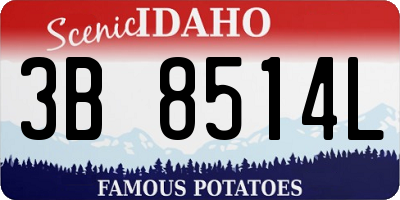ID license plate 3B8514L