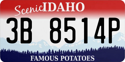 ID license plate 3B8514P