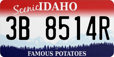 ID license plate 3B8514R