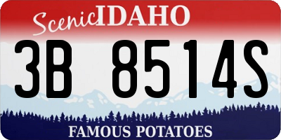 ID license plate 3B8514S