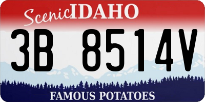ID license plate 3B8514V