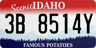ID license plate 3B8514Y