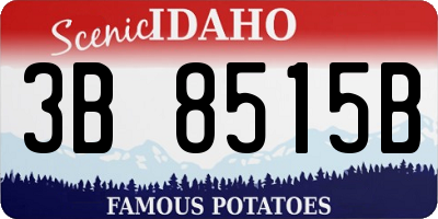ID license plate 3B8515B