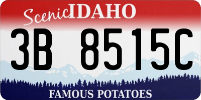 ID license plate 3B8515C