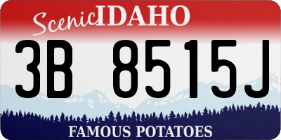 ID license plate 3B8515J