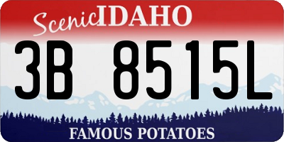 ID license plate 3B8515L