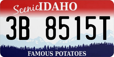 ID license plate 3B8515T
