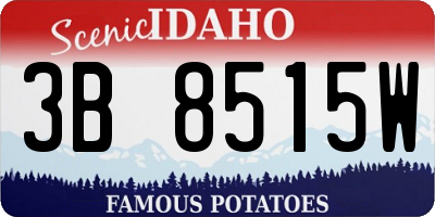 ID license plate 3B8515W