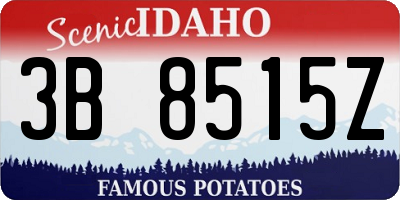 ID license plate 3B8515Z