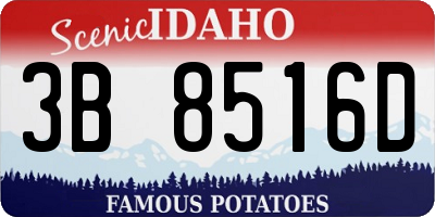 ID license plate 3B8516D