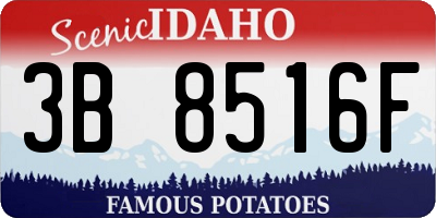 ID license plate 3B8516F