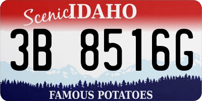 ID license plate 3B8516G