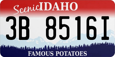 ID license plate 3B8516I