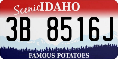 ID license plate 3B8516J