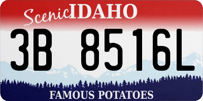 ID license plate 3B8516L