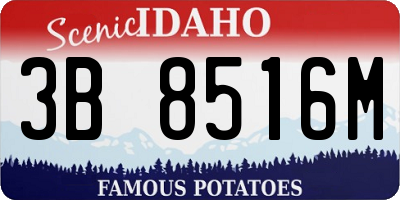 ID license plate 3B8516M