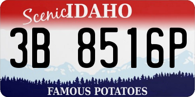ID license plate 3B8516P