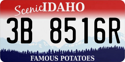 ID license plate 3B8516R