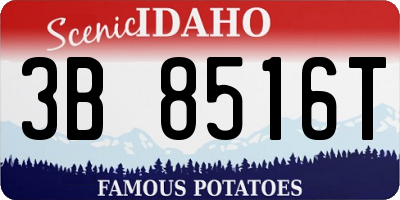 ID license plate 3B8516T