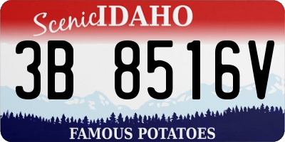 ID license plate 3B8516V